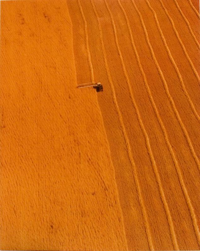 SK: The Great Regina Plain - Swather Makes Tidy Rows as it Passes Down Wheat Field