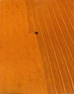 SK: The Great Regina Plain - Swather Makes Tidy Rows as it Passes Down Wheat Field