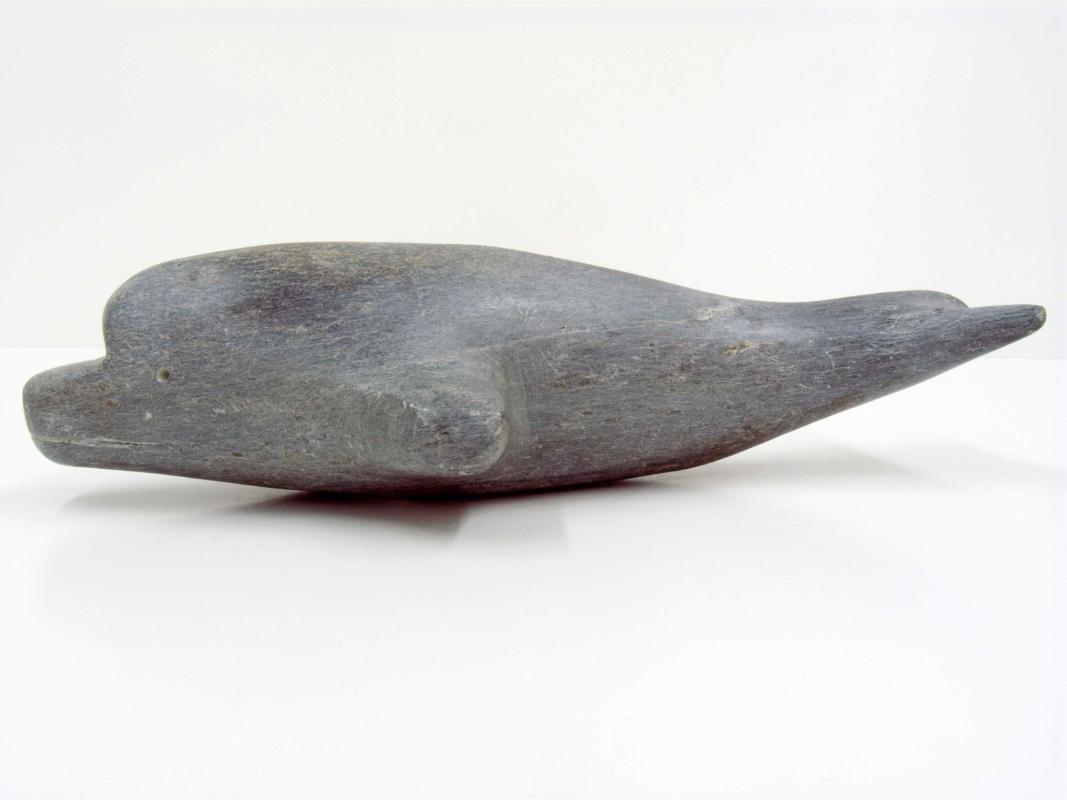 Beluga