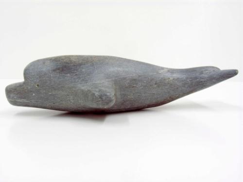 Beluga