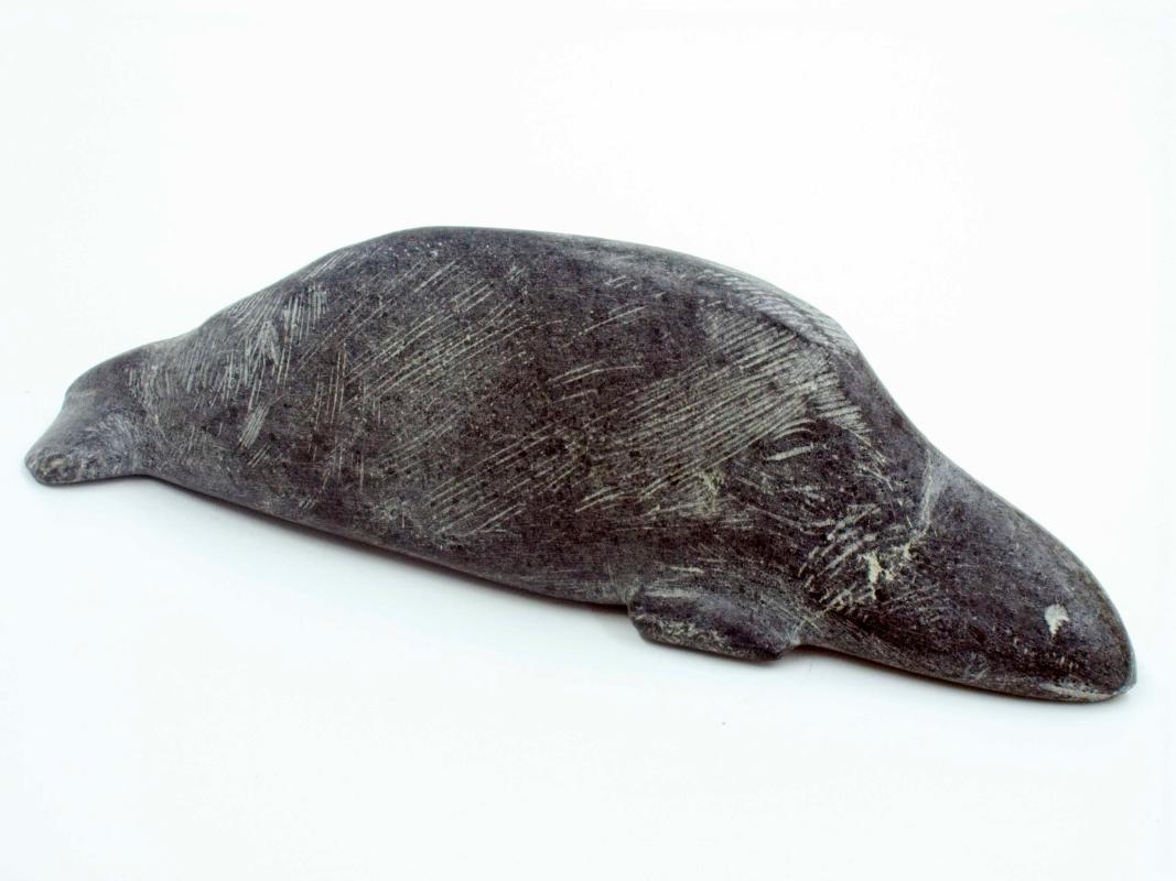Sea Mammal