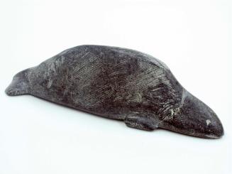 Sea Mammal