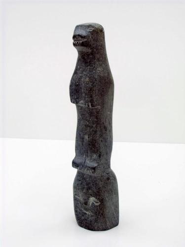 Bear on Head