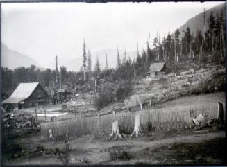 Panoramic View of Beaton after the "Great Fire" of August 29, 1904 (right side)