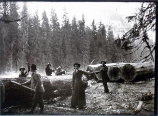 Stripping the bark from rollaway logs (1905)