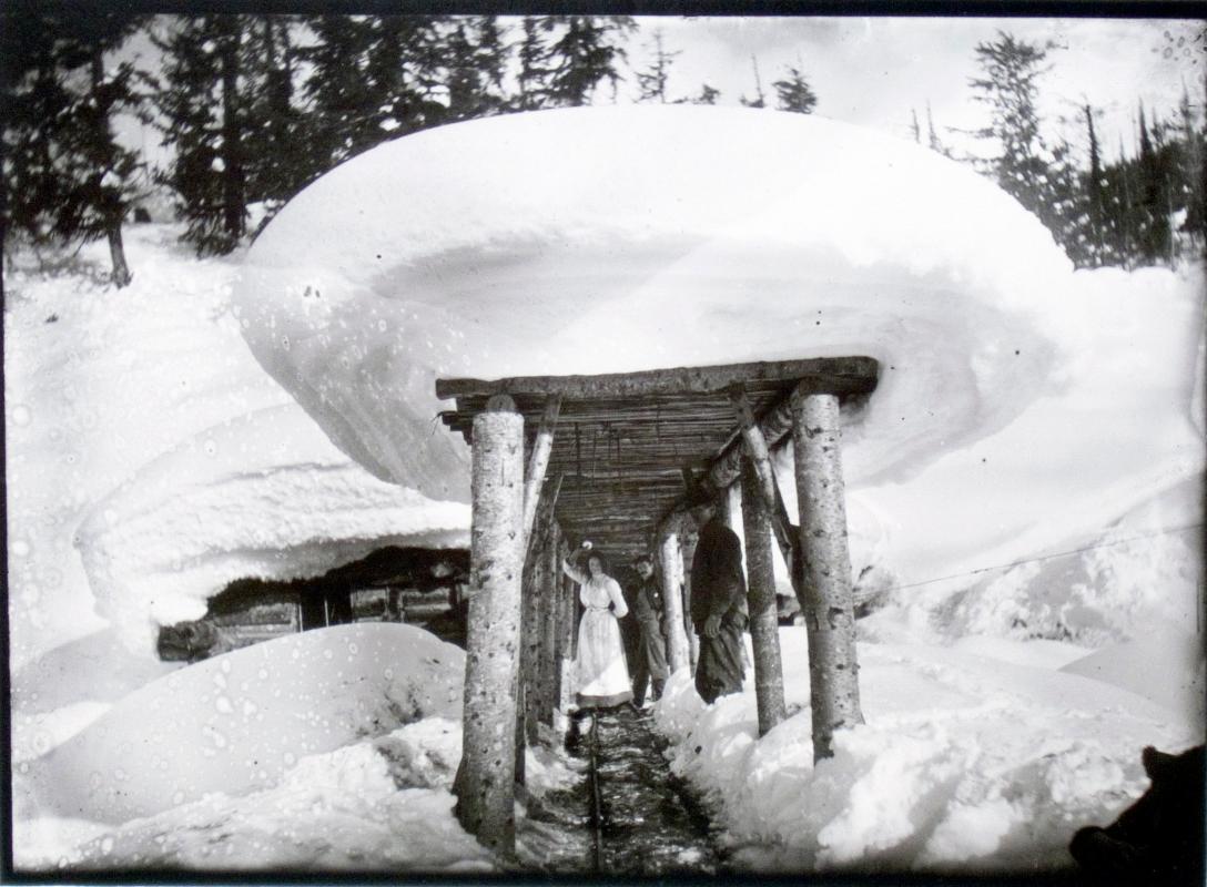 Nettie L. Mine / Entrance to Tunnel #4 (c.1903)