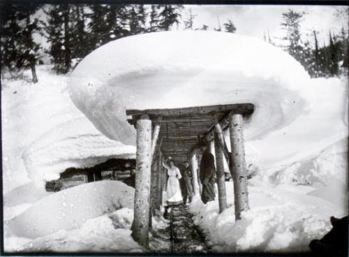 Nettie L. Mine / Entrance to Tunnel #4 (c.1903)