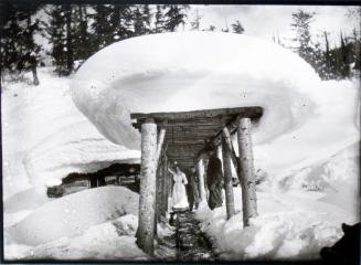 Nettie L. Mine / Entrance to Tunnel #4 (c.1903)