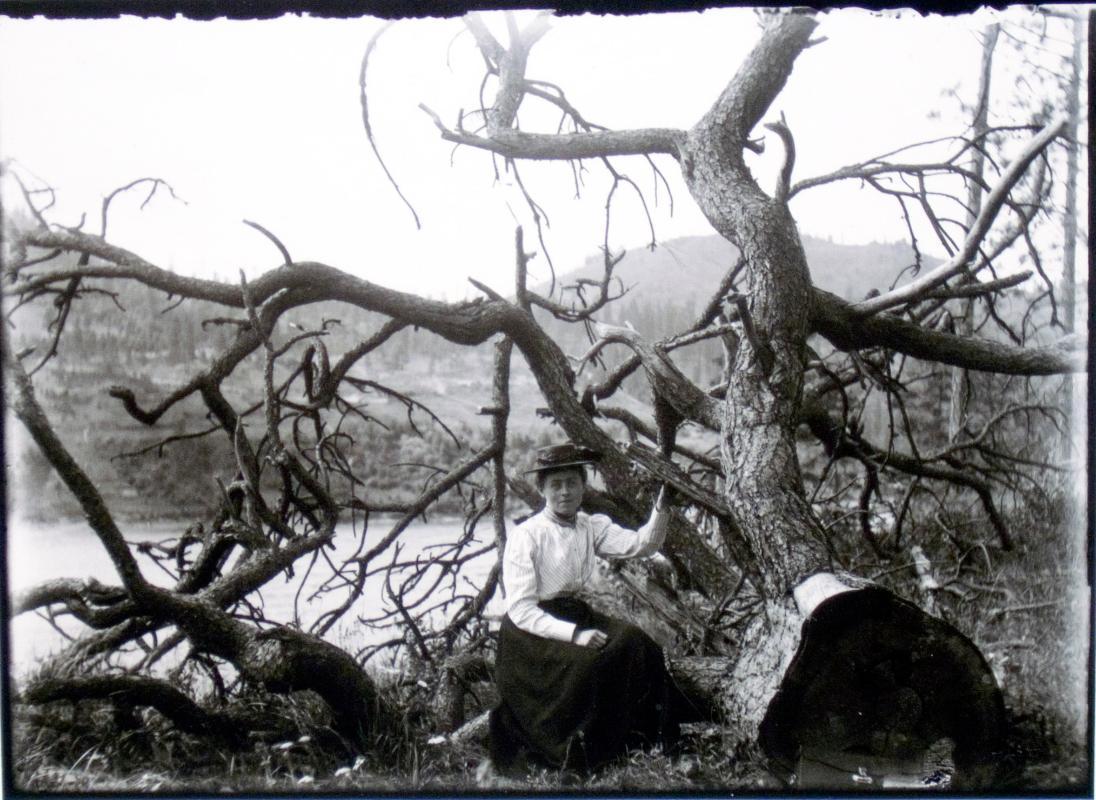 Mattie by tree, somewhere along the Columbia River between Spokane and the Lardeau (mid-1899)