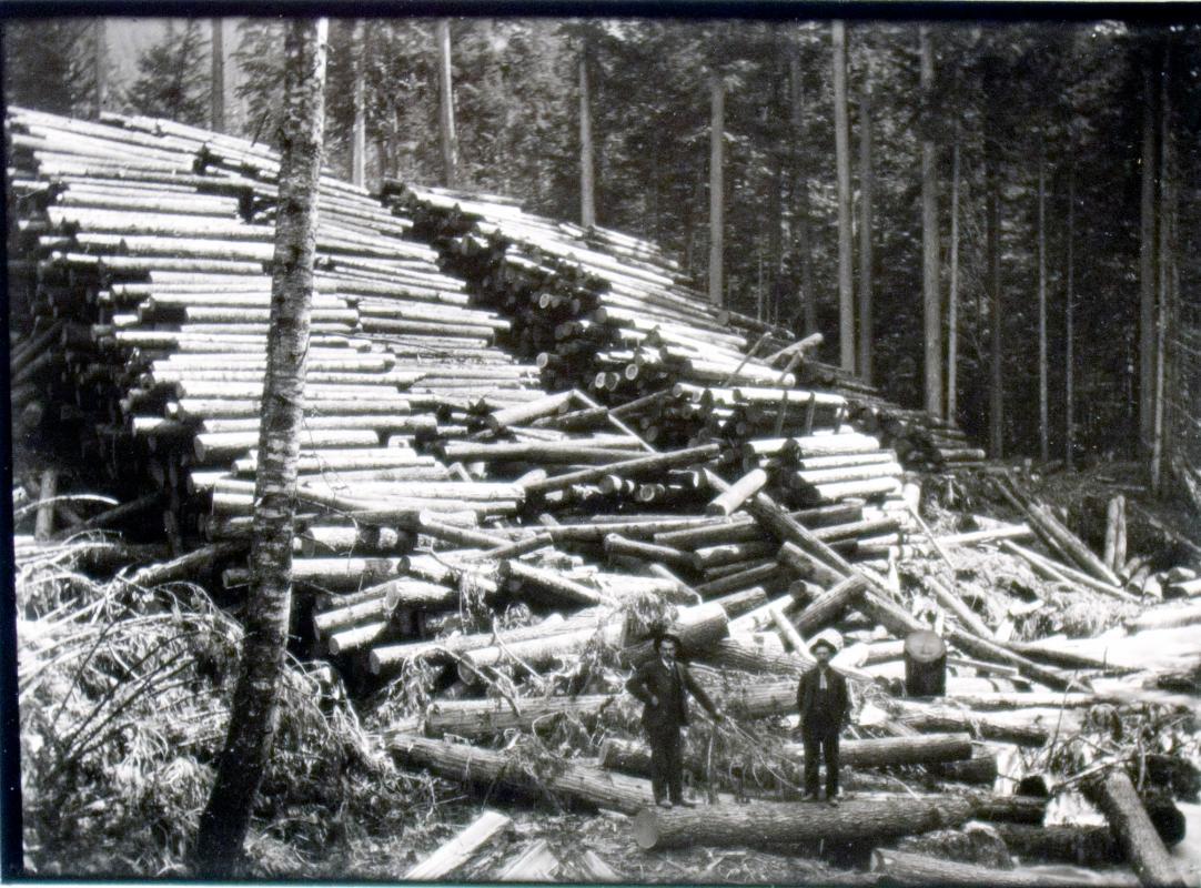 Log dump, Hillman & Beaton's camp 3 (1904)