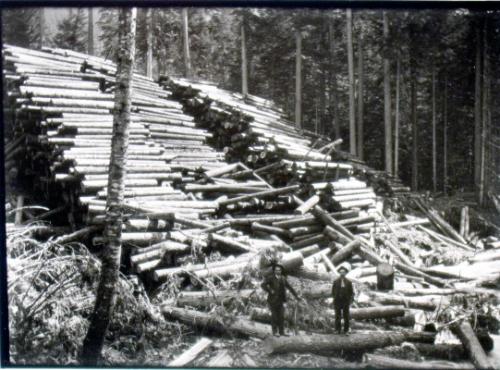 Log dump, Hillman & Beaton's camp 3 (1904)