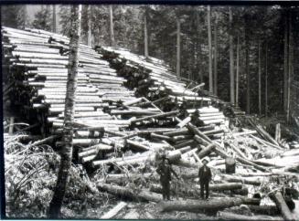 Log dump, Hillman & Beaton's camp 3 (1904)