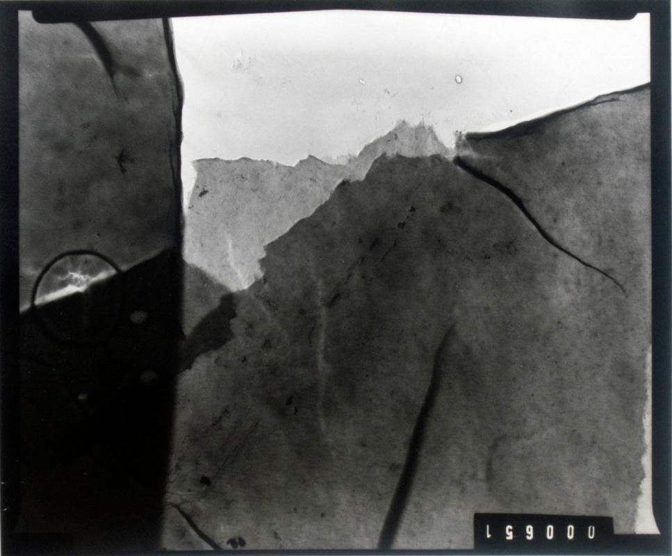 untitled (electron micrography)