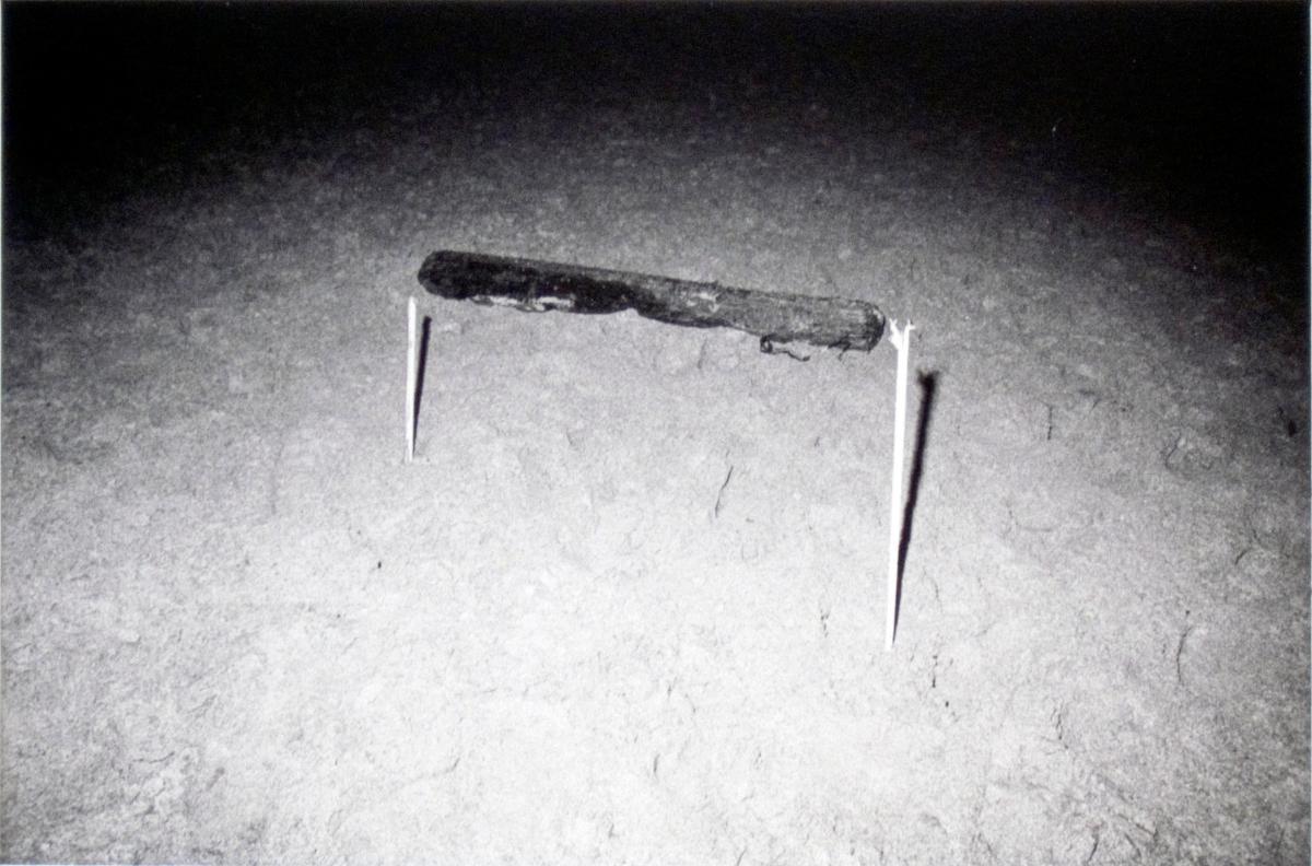 Log Supported by Two Poles, San Francisco