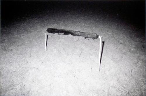 Log Supported by Two Poles, San Francisco