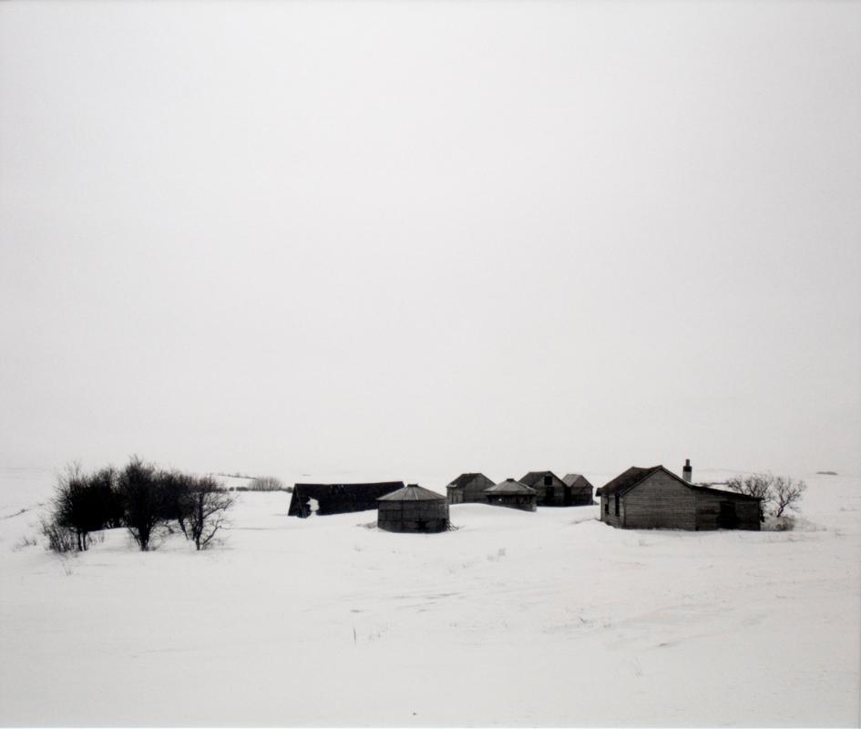 Farmstead, East of Biggar, Saskatchewan