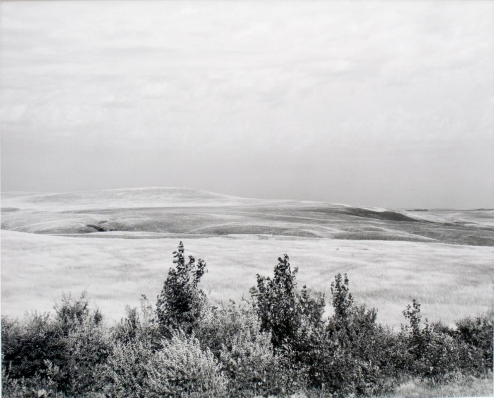 South of Elrose, Saskatchewan