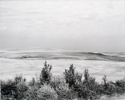 South of Elrose, Saskatchewan