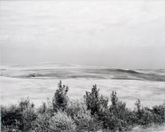 South of Elrose, Saskatchewan