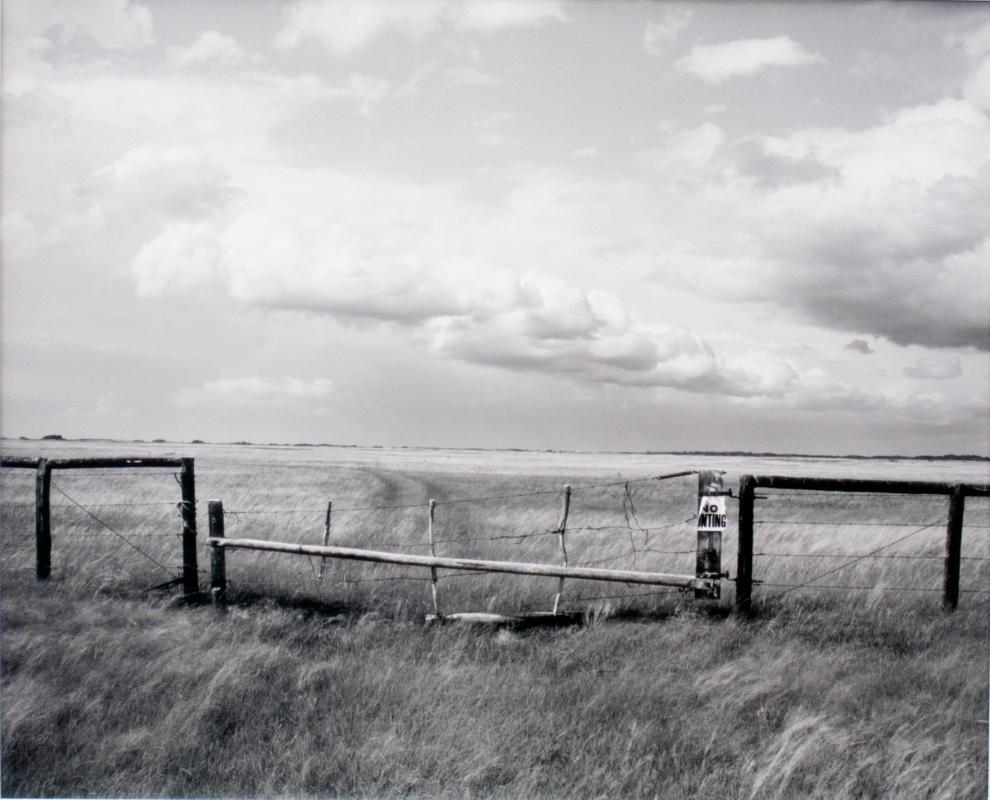 East of Fox Valley, Saskatchewan