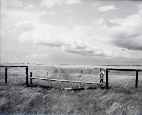 East of Fox Valley, Saskatchewan