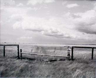 East of Fox Valley, Saskatchewan