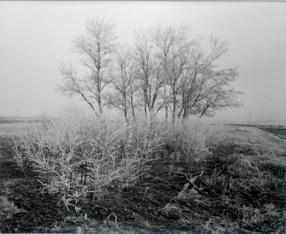 Farmyard, R.R. No. 6, Saskatoon