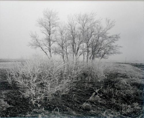 Farmyard, R.R. No. 6, Saskatoon