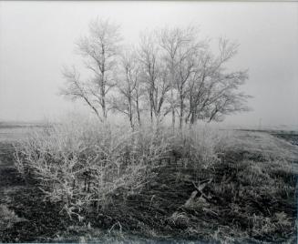 Farmyard, R.R. No. 6, Saskatoon