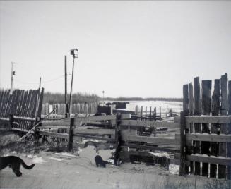 Farmyard, R.R. No. 6, Saskatoon
