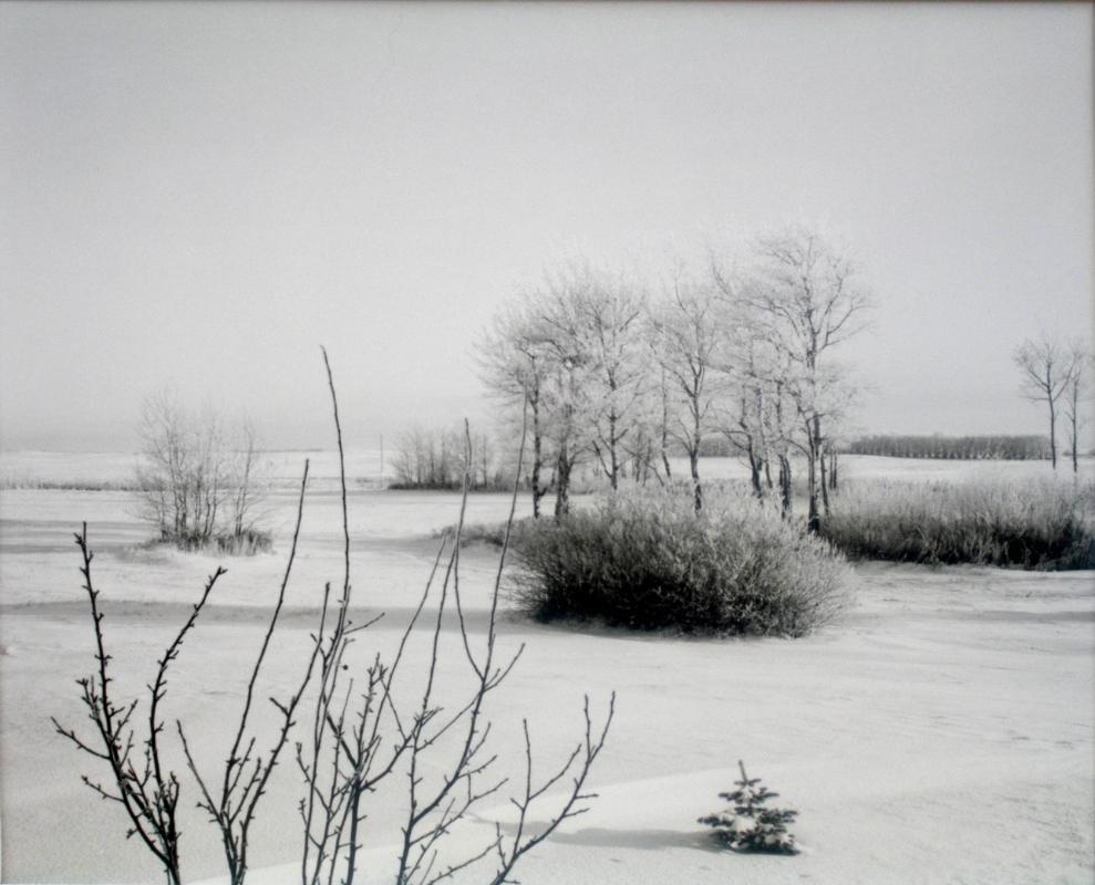 Farmyard, R.R. No. 6, Saskatoon