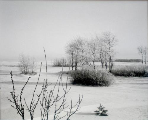 Farmyard, R.R. No. 6, Saskatoon