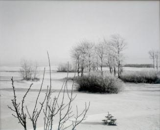 Farmyard, R.R. No. 6, Saskatoon