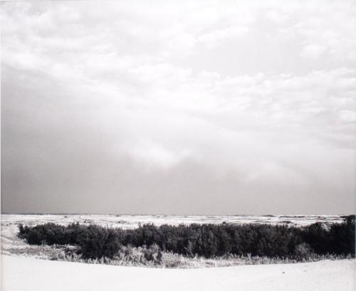South of Portreeve, Saskatchewan