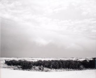 South of Portreeve, Saskatchewan