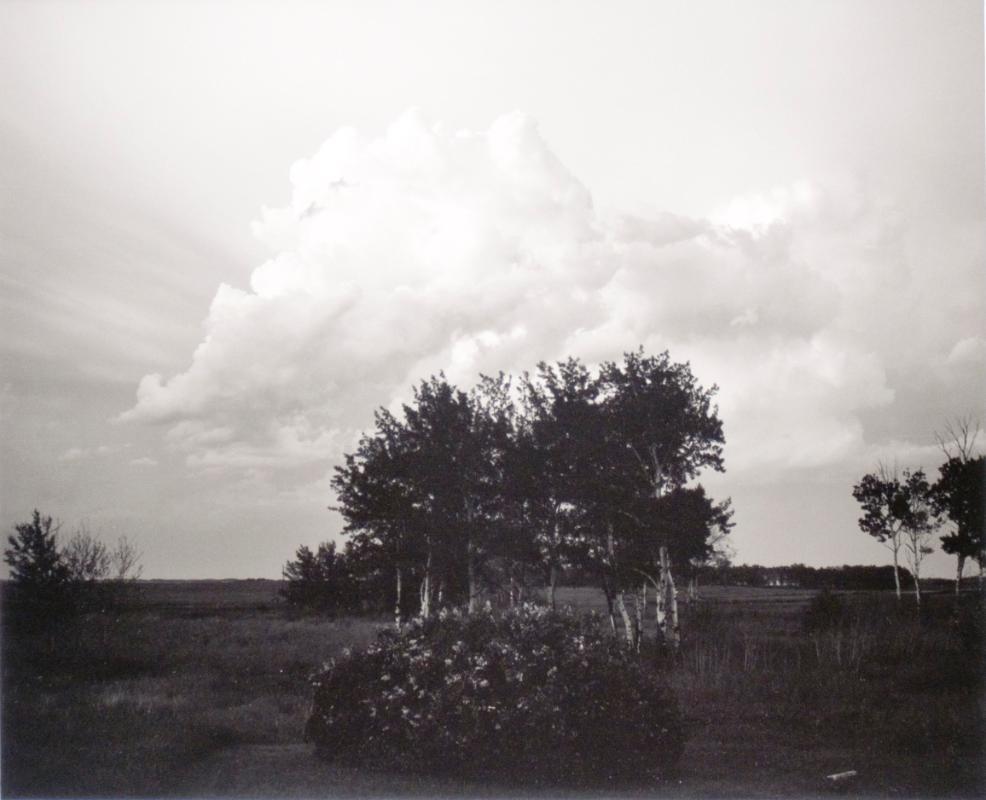 Farmyard, R.R. No. 6, Saskatchewan