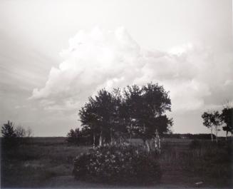 Farmyard, R.R. No. 6, Saskatchewan