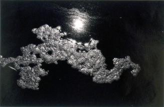 © Patrick Close. Copyright Visual Arts-CARCC, 2021