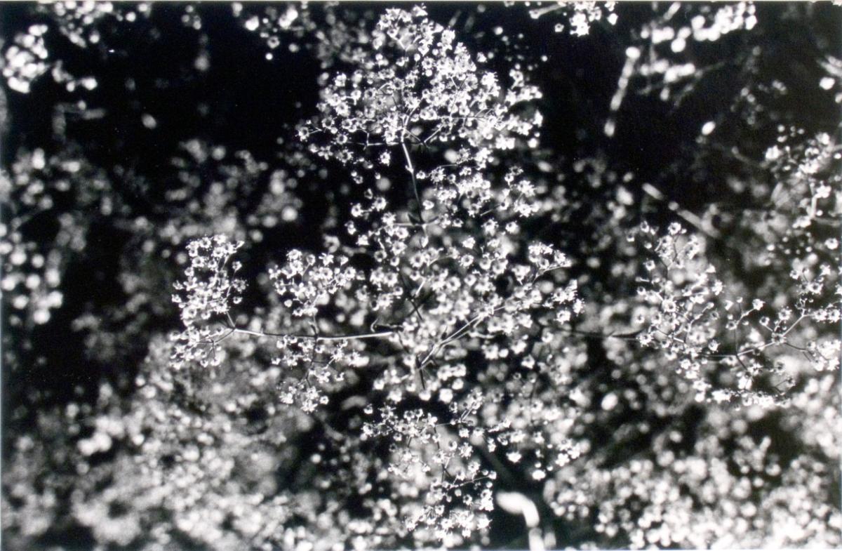 © Patrick Close. Copyright Visual Arts-CARCC, 2021