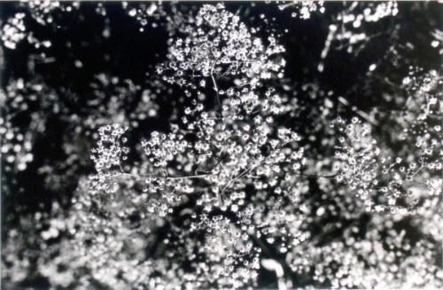 © Patrick Close. Copyright Visual Arts-CARCC, 2021