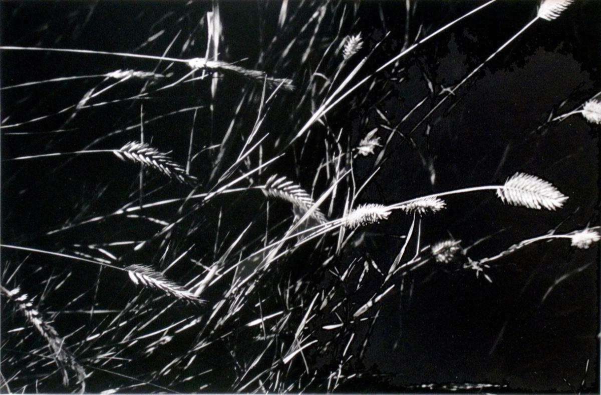 © Patrick Close. Copyright Visual Arts-CARCC, 2021