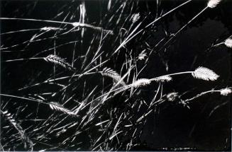 © Patrick Close. Copyright Visual Arts-CARCC, 2021