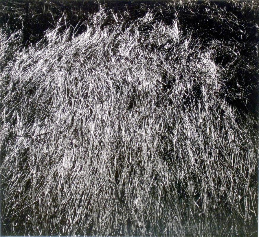 © Patrick Close. Copyright Visual Arts-CARCC, 2021