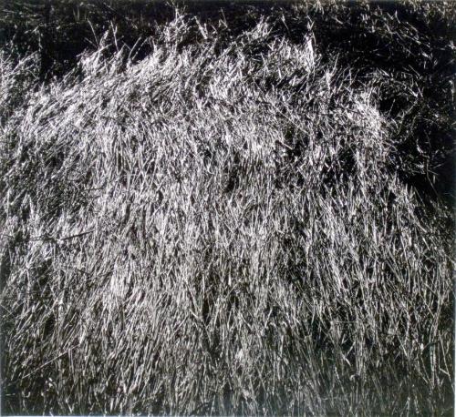 © Patrick Close. Copyright Visual Arts-CARCC, 2021
