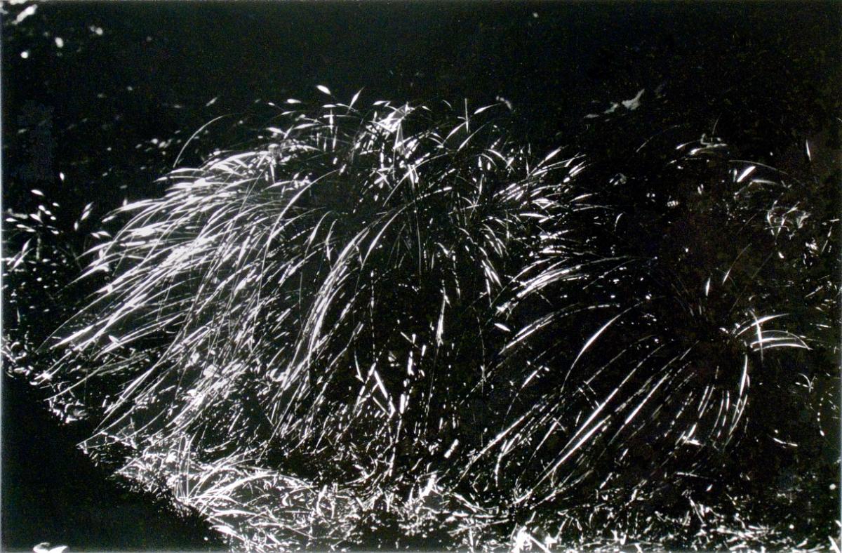 © Patrick Close. Copyright Visual Arts-CARCC, 2021