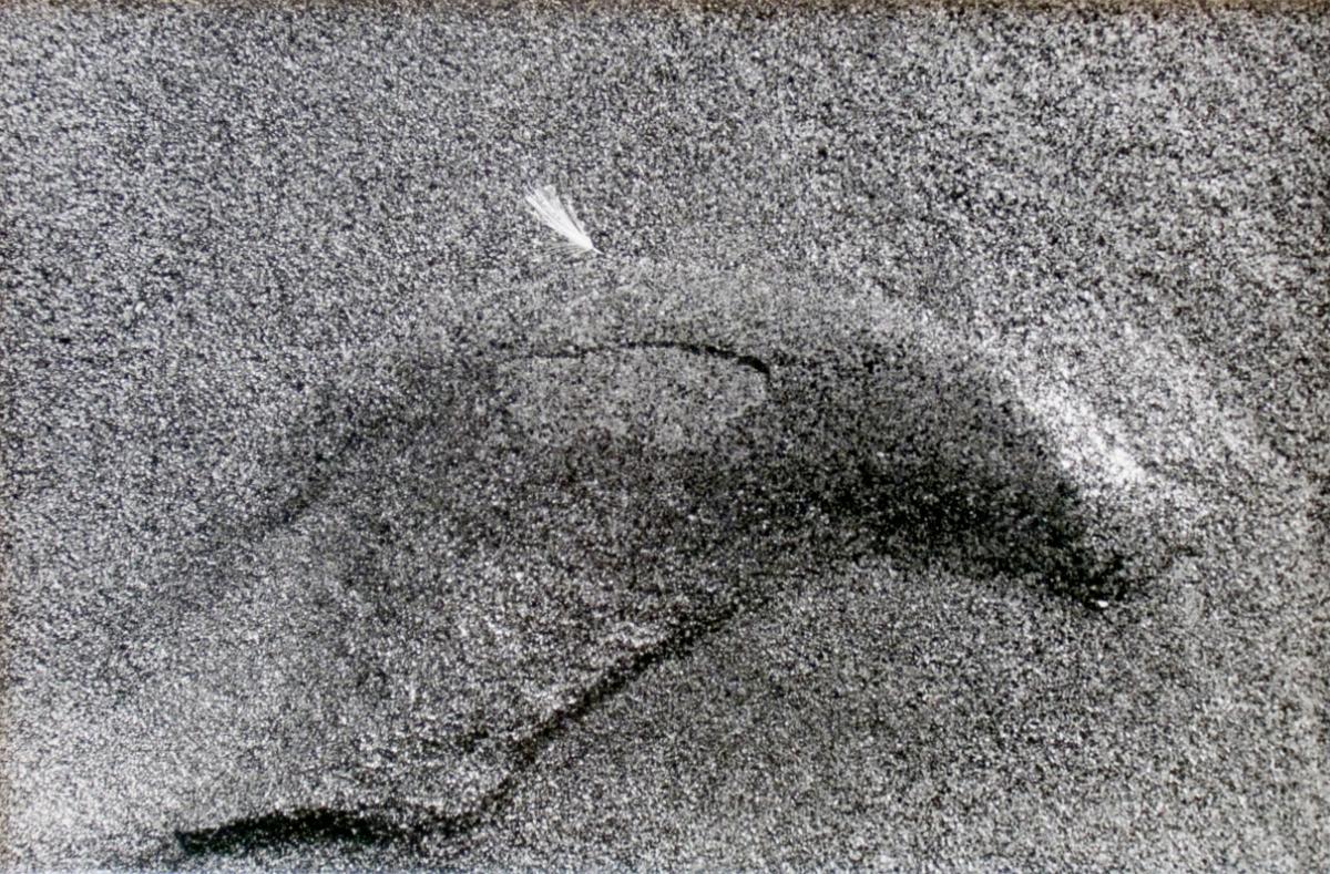 © Patrick Close. Copyright Visual Arts-CARCC, 2021