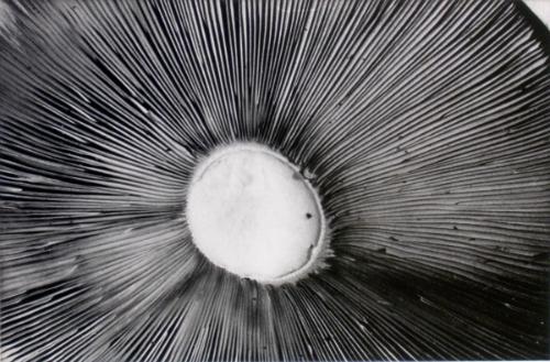 © Patrick Close. Copyright Visual Arts-CARCC, 2021