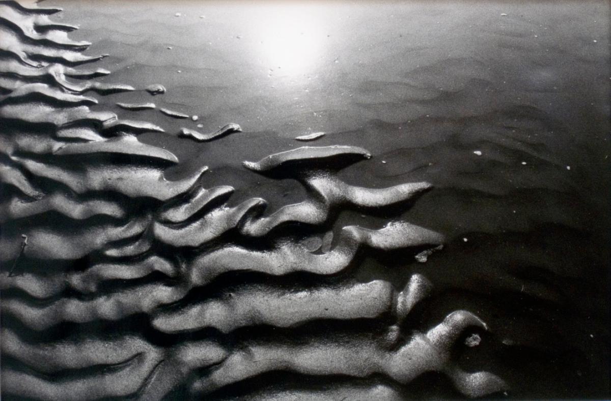 © Patrick Close. Copyright Visual Arts-CARCC, 2021