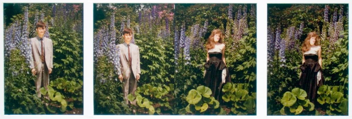 The Marriage of Elegance and Beauty