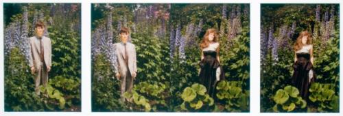 The Marriage of Elegance and Beauty